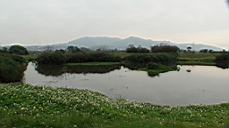 DSC00077.JPG