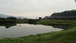 DSC00078.JPG