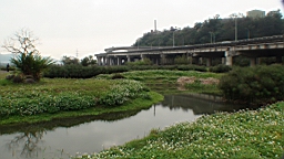 DSC00082.JPG