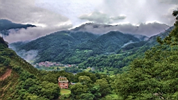 2014-06-034020.JPG
