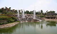 IMG_4377.JPG