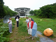 P1050631.JPG