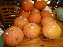 P1050650.JPG