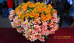 IMG_6840.JPG
