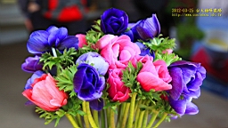 IMG_6842.JPG