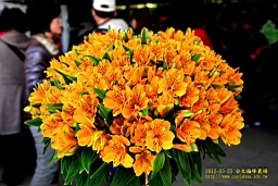 IMG_6843.JPG