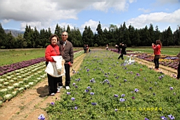 IMG_6856.JPG
