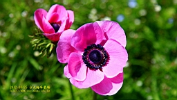 IMG_6864.JPG