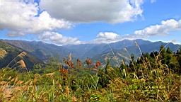 IMG_6872.JPG