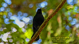 IMG_6874.JPG