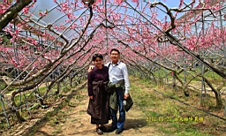 IMG_6877.JPG