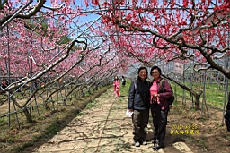 IMG_6879.JPG