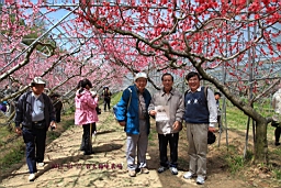IMG_6887.JPG