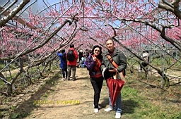 IMG_6889.JPG