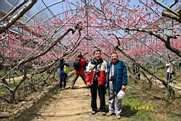 IMG_6890.JPG
