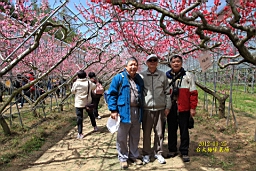 IMG_6892.JPG