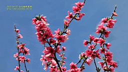 IMG_6893.JPG