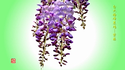 IMG_6944T.jpg