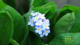 IMG_6962.JPG