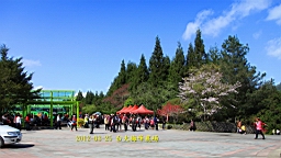 IMG_7011.JPG
