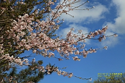 IMG_7012.JPG