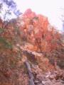 153-5386_IMG.JPG