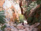 153-5391_IMG.JPG