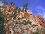 153-5392_IMG.JPG
