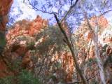 153-5393_IMG.JPG