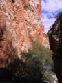 153-5398_IMG.JPG