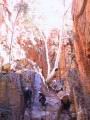 153-5400_IMG.JPG