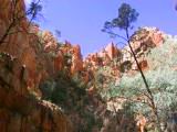 154-5401_IMG.JPG