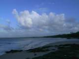 157-5723_IMG.JPG