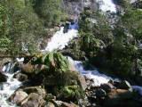 157-5733_IMG.JPG