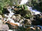157-5734_IMG.JPG