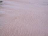158-5822_IMG.JPG