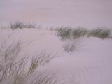 158-5824_IMG.JPG