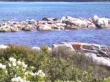 158-5833_IMG.JPG