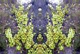 158-5836_IMG.JPG