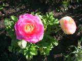 159-5928_IMG.JPG