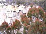 159-5949_IMG.JPG