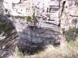 159-5951_IMG.JPG