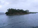 159-5994_IMG.JPG