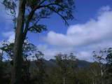 160-6005_IMG.JPG