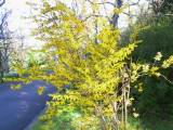 160-6050_IMG.JPG