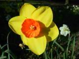 160-6051_IMG.JPG
