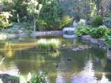 160-6059_IMG.JPG