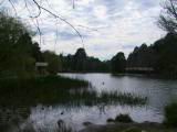160-6082_IMG.JPG