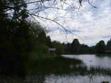 160-6083_IMG.JPG