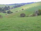160-6088_IMG.JPG